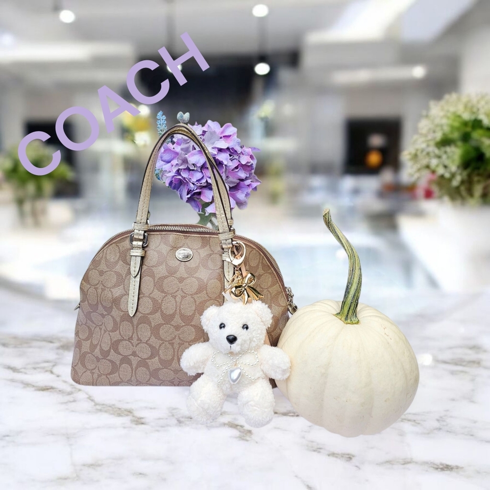 COACH PEYTON SIGNATURE CORA DOME SATCHEL